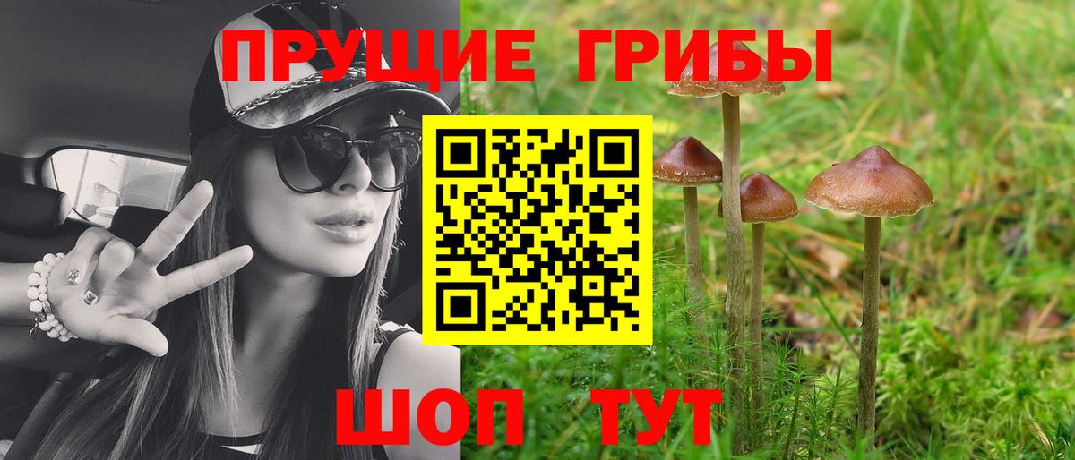 Псилоцибиновые грибы MAGIC MUSHROOMS Прокопьевск