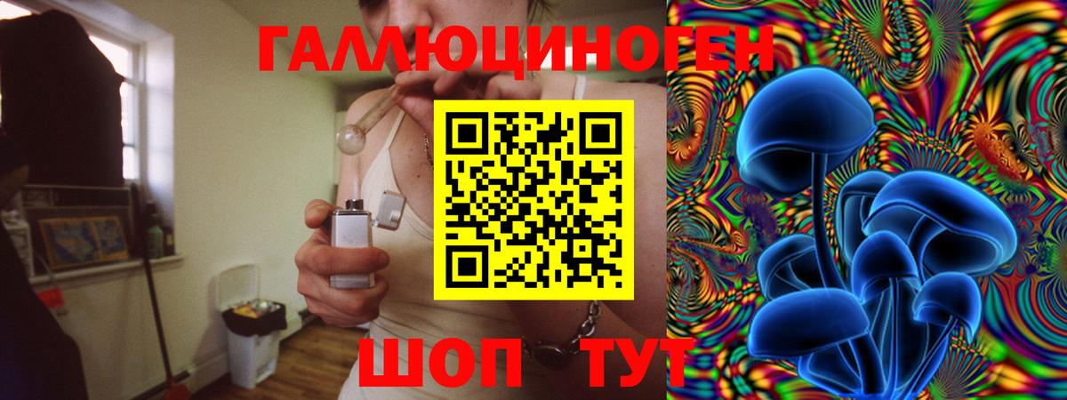 Псилоцибиновые грибы Psilocybine cubensis  Вход с VPN  Прокопьевск 